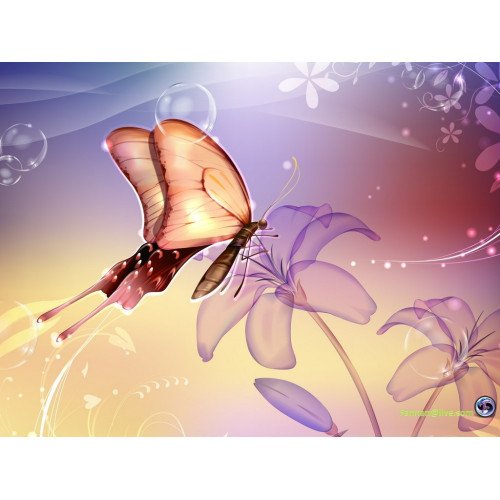 رطب شيشي عضوي 1 كيلو ال طالب رطب شيشي عضوي 1 كيلو ال طالب