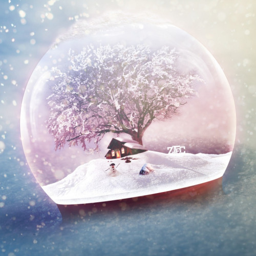  رطب شيشي عضوي 1 كيلو ال طالب