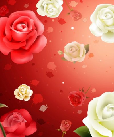 منتج باقة 2