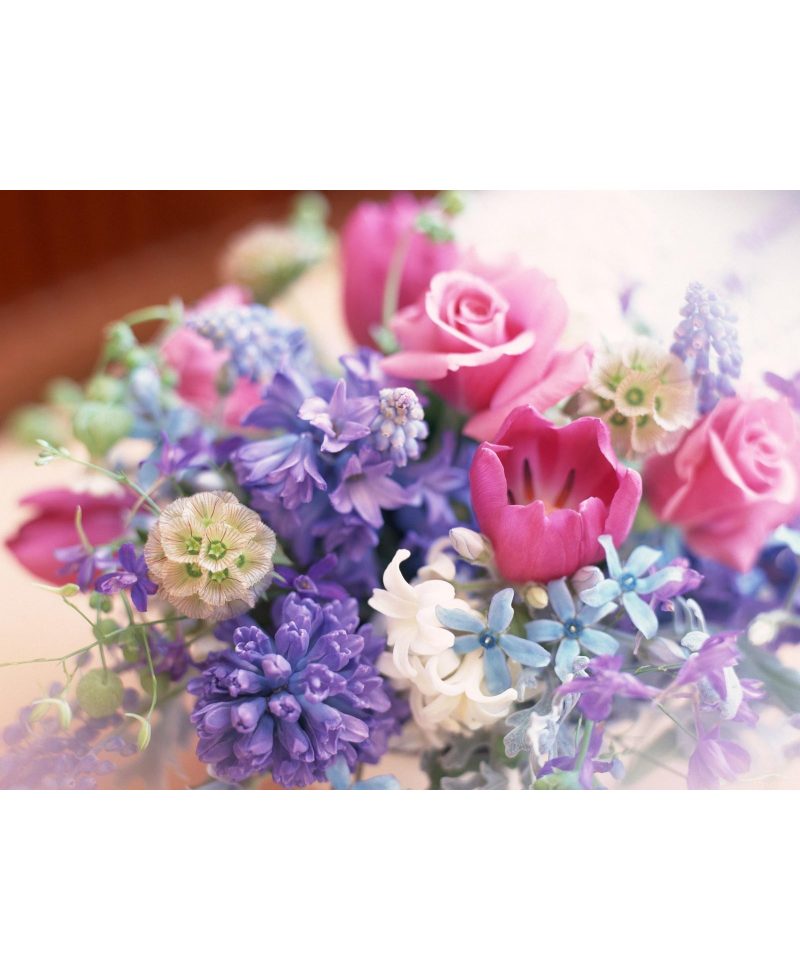 test add images 
