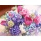 test add images 
