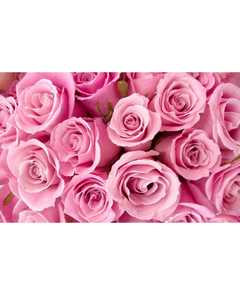 test add images 
