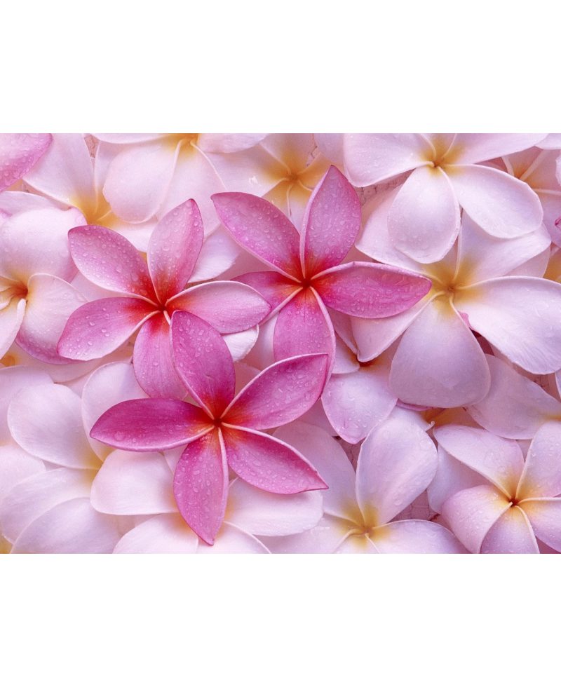test add images 