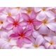 test add images 
