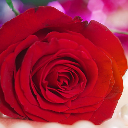 منتج 333كوفي ديو