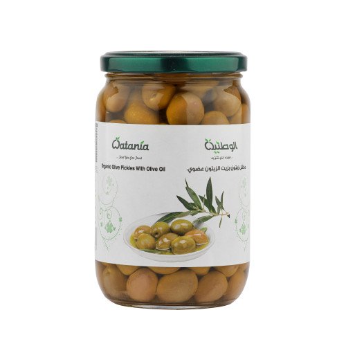 مخلل زيتون بالزيت 430 جم عضوي
