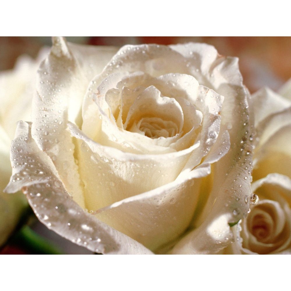 test image