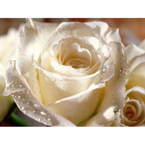 test image