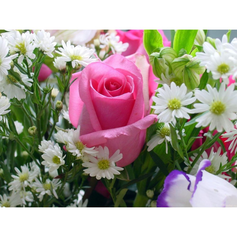 test image