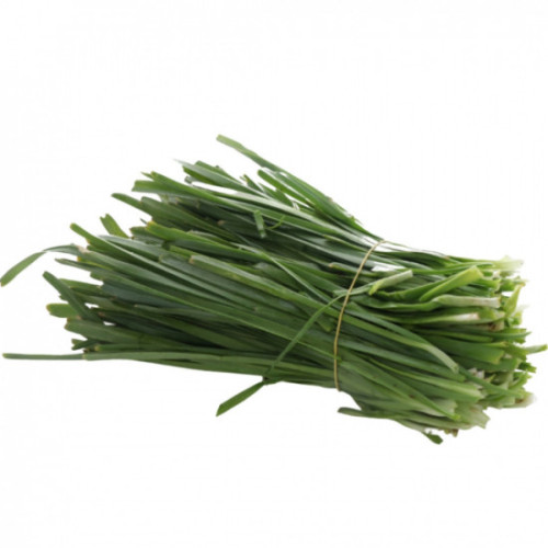 كرات عضوي ربطة مزرعة السلوى