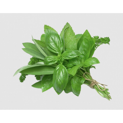 ريحان طازج عضوي طبق 100جم مزرعة بيت الاستنبات العضوية