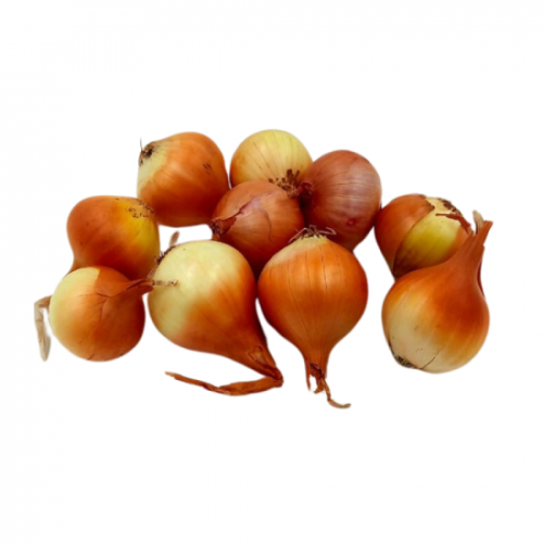 بصل اصفر عضوي حبه صغير  1 كجم مزرعة طويق  العضوية