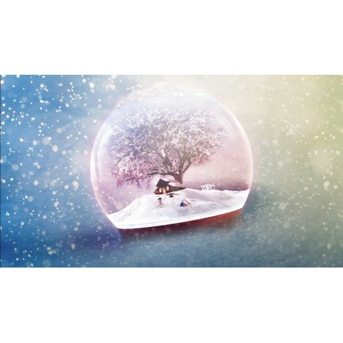  رطب شيشي عضوي 1 كيلو ال طالب