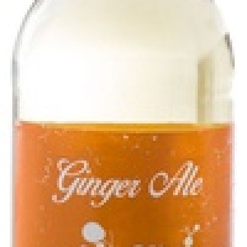 شراب زنجبيل 330 مل  عضوي من أرض الطبيعة