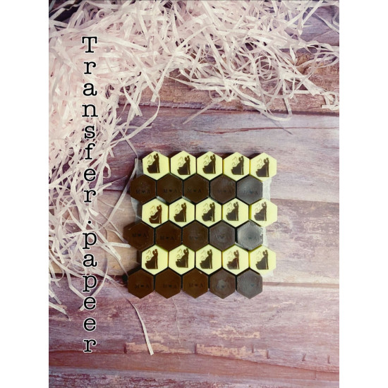 Magnetic molds