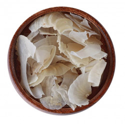 عشبة الكثيرة للشعر عشبة الكثيرة للشعر