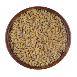 حب هريس حب هريس