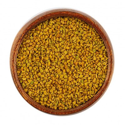 حلبة المدينة المنورة العضوية