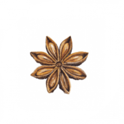 البهارات والحبوب والبقوليات البهارات والحبوب والبقوليات