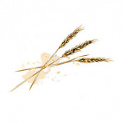 الحبوب والبقوليات