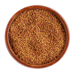 بذور البرسيم