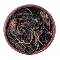 ورق لسان الحمل ورق لسان الحمل