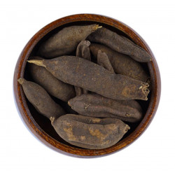 عود الصليب عود الصليب