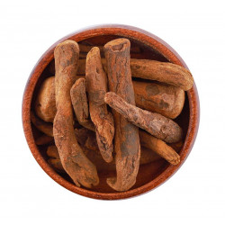 عشبة الراوند عشبة الراوند