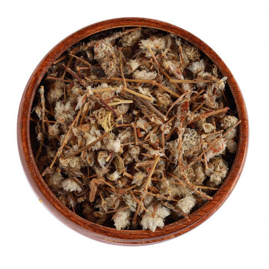 زهرة رجل الأسد (50 جرام) زهرة رجل الأسد (50 جرام)