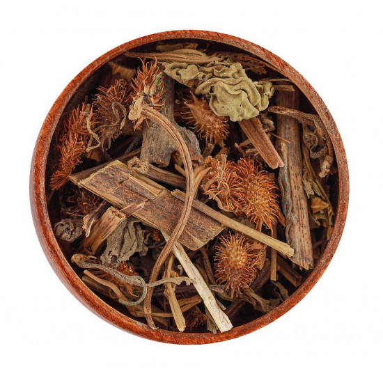 عشبة الارقطيون