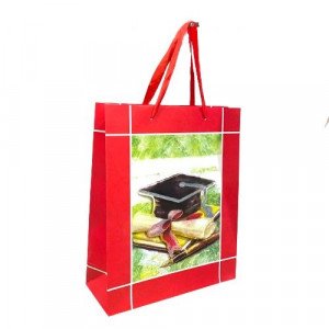 Gift Bag Paper Graduation Hat 45x32x22 cm Red