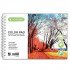 Oil Color Sketchbook A4 30 Sheets, 160 gr ACMELIAE