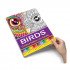 Coloring Book Birds Creative Patterns For Adults