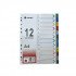 Index Divider SIMBA A4 Plastic 12 Part Colored Index Divider SIMBA A4 Plastic 12 Part Colored