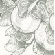 SAKURA PIGMA Micron 6 Fineliners+2 Brush Pens, Two Shades of Black, Manga Set