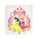 Disney Princesses Iron-On Fabric Print Disney Princesses Iron-On Fabric Print