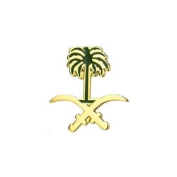 بروش اليوم الوطني سيفين ونخلة