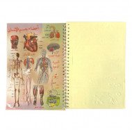 the Sciences Sticker Book