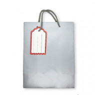 Gift Bag Paper With Ticket 23x18x10 cm Silver