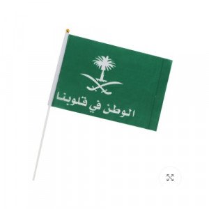 علم الوطن في قلوبنا مسكة يد بلاستيك 30x20 سم