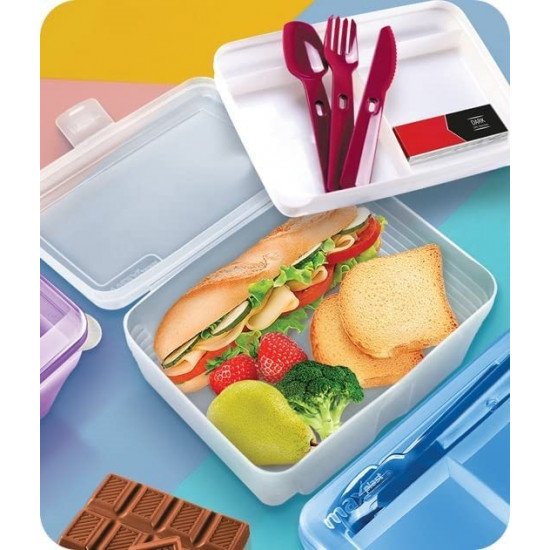 حافظة طعام كبيرة صور اكلات ماكس بلاست عدة الوان حافظة طعام كبيرة صور اكلات ماكس بلاست عدة الوان