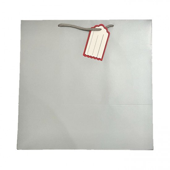كيس هدايا ورق 35x35x24سم مع كرت فضي كيس هدايا ورق 35x35x24سم مع كرت فضي