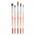  Burch Set TALENS ART CREATION 5 Two Types 