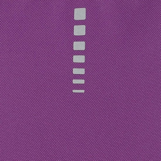 School Backpack Plain Fuchsia With Two Large Pockets And Pencil Case GABOL School Backpack Plain Fuchsia With Two Large Pockets And Pencil Case GABOL