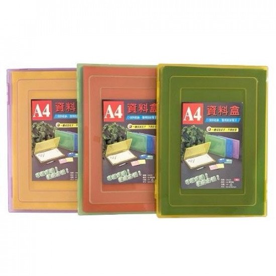 Document Holder Box With Plastic Lock, 30 Transparent Files Document Holder Box With Plastic Lock, 30 Transparent Files