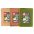Document Holder Box With Plastic Lock, 50 Transparent and Colored Files
