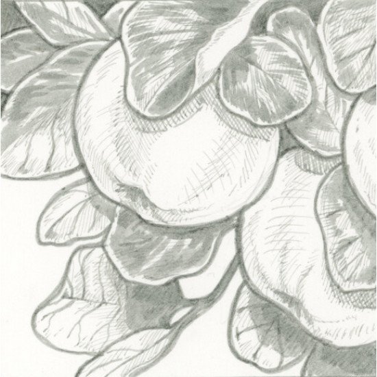 SAKURA PIGMA Micron 6 Fineliners+2 Brush Pens, Two Shades of Black, Manga Set