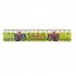 Mulan Ruler 15 cm Plastic Mulan Ruler 15 cm Plastic