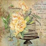 Easy Transfer 25×25 cm ARTEBELLA 6074v