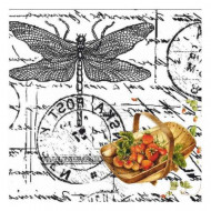 Easy Transfer 25×25 cm ARTEBELLA 5828v